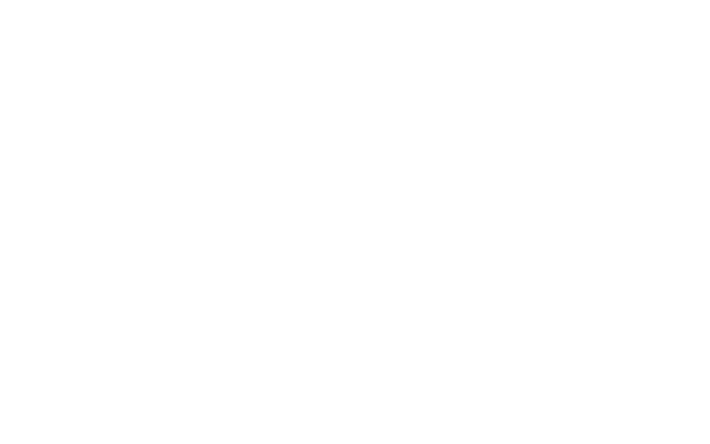 Highbridge at Egret Bay